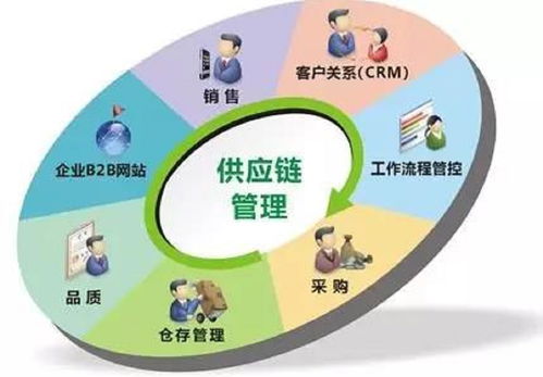農(nóng)商互聯(lián)謀定質(zhì)量 豐收節(jié)交易會的實踐與思考